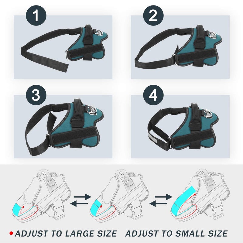 Bolux Dog Harness, No-Pull Reflective Dog Vest, Breathable Adjustable Pet Harness with Handle for Outdoor Walking - No More Pulling, Tugging or Choking (Turquoise, L) - Image 3